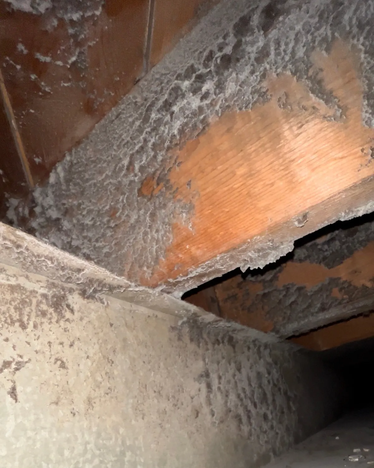 Duct interior before Clean Fresh Air professional cleaning — pair 1